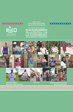 Visita el libro digital sobre La Participación de las Mujeres Indígenas en la Política y en la Comunidad